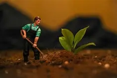 Top Sustainable Development Issues That Matter to You (and What You Can Do About Them)