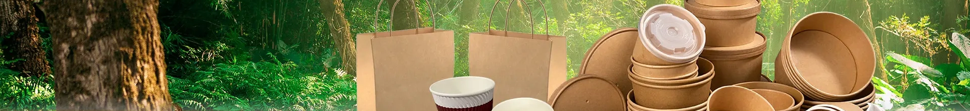 Container Food To Go